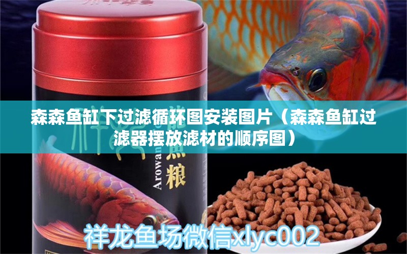 森森魚缸下過濾循環(huán)圖安裝圖片（森森魚缸過濾器擺放濾材的順序圖） 白子關(guān)刀魚 第1張