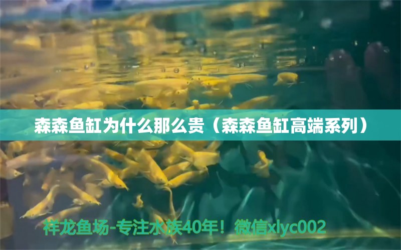 森森魚(yú)缸為什么那么貴（森森魚(yú)缸高端系列） 廣州觀賞魚(yú)批發(fā)市場(chǎng)