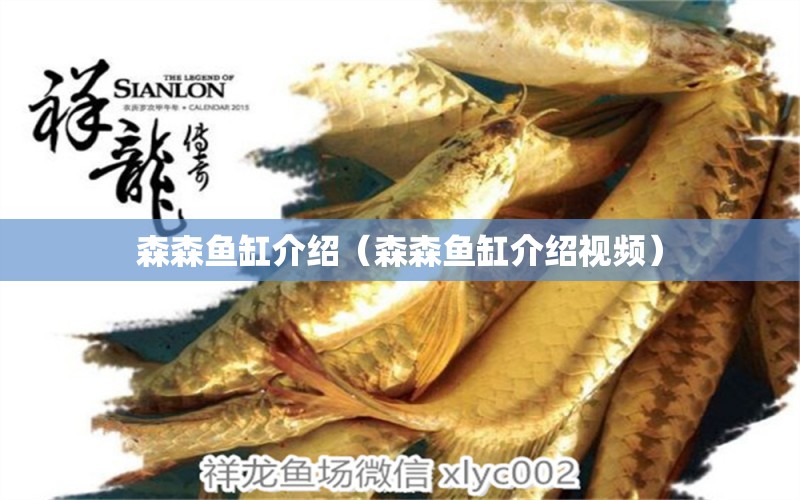 森森魚(yú)缸介紹（森森魚(yú)缸介紹視頻） 森森魚(yú)缸