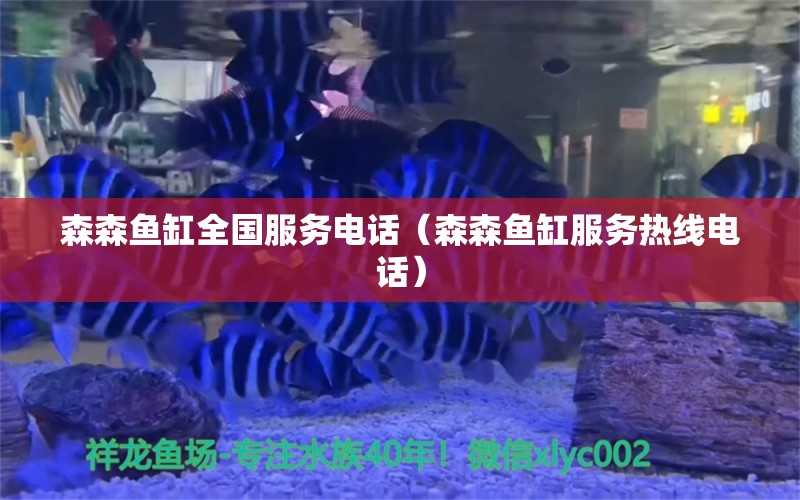 森森魚缸全國服務電話（森森魚缸服務熱線電話） 過濾設備