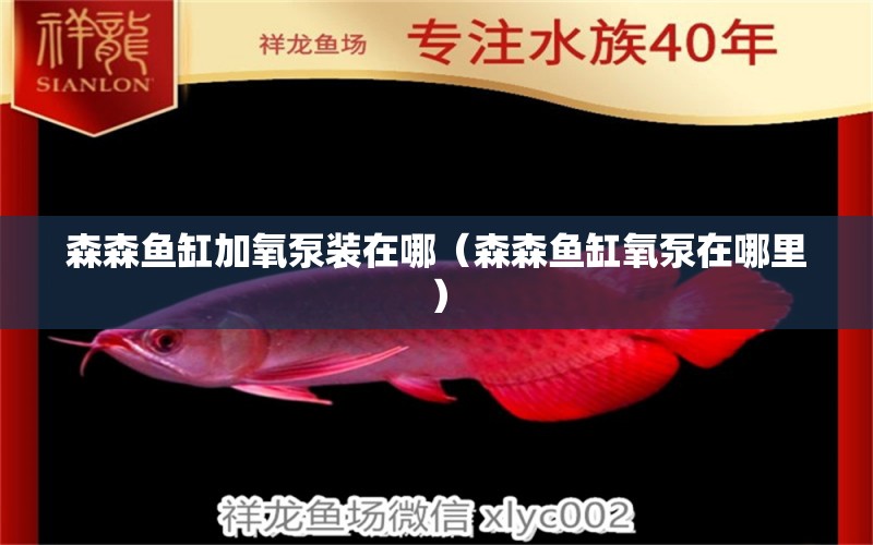 森森魚缸加氧泵裝在哪（森森魚缸氧泵在哪里） 過濾設備