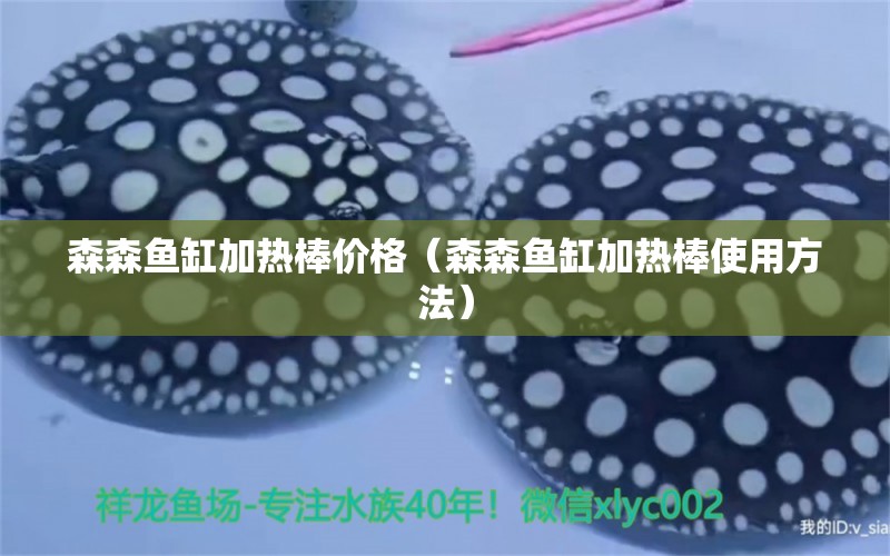 森森魚缸加熱棒價格（森森魚缸加熱棒使用方法） 廣州龍魚批發(fā)市場