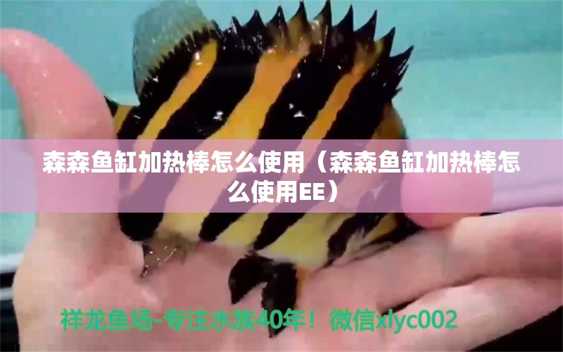 森森魚缸加熱棒怎么使用（森森魚缸加熱棒怎么使用EE）