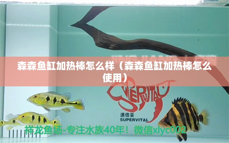 森森魚缸加熱棒怎么樣（森森魚缸加熱棒怎么使用）