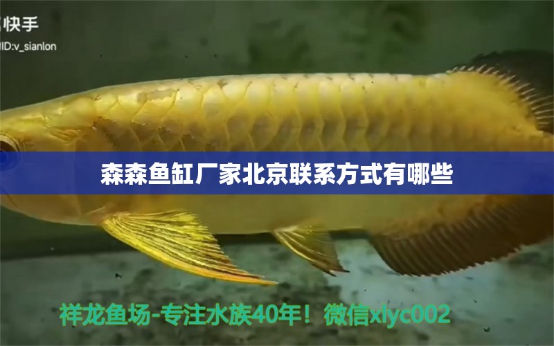 森森魚缸廠家北京聯(lián)系方式有哪些