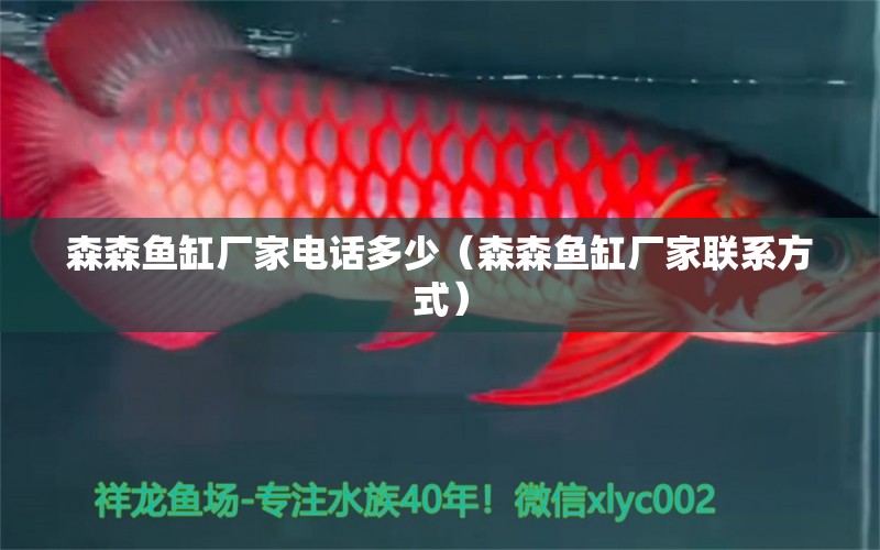 森森魚缸廠家電話多少（森森魚缸廠家聯(lián)系方式） 其他品牌魚缸