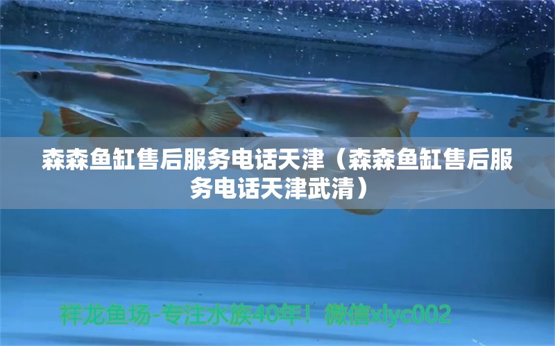 森森魚(yú)缸售后服務(wù)電話(huà)天津（森森魚(yú)缸售后服務(wù)電話(huà)天津武清）