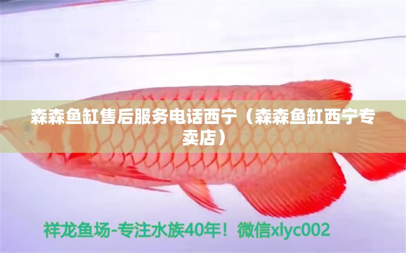 森森魚缸售后服務(wù)電話西寧（森森魚缸西寧專賣店） 其他品牌魚缸