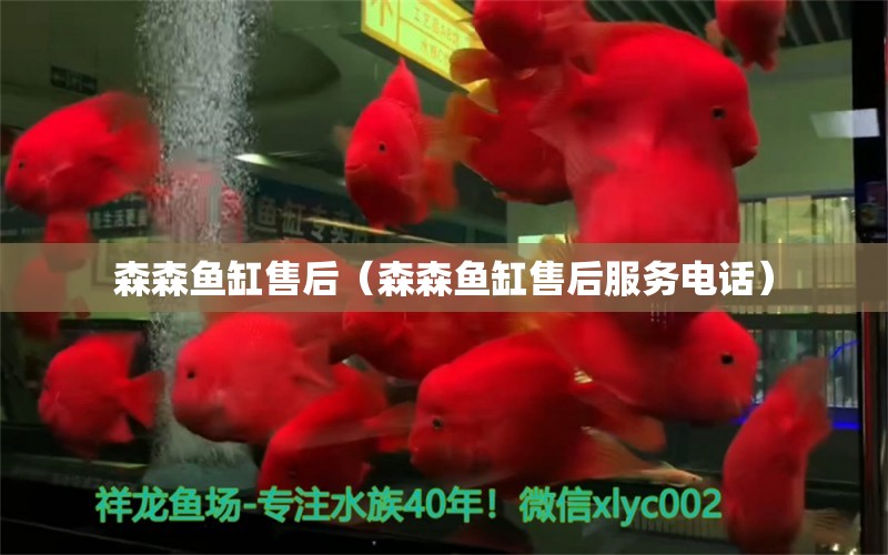 森森魚缸售后（森森魚缸售后服務(wù)電話）