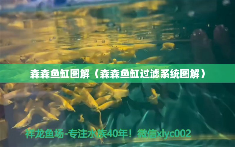 森森魚缸圖解（森森魚缸過(guò)濾系統(tǒng)圖解）