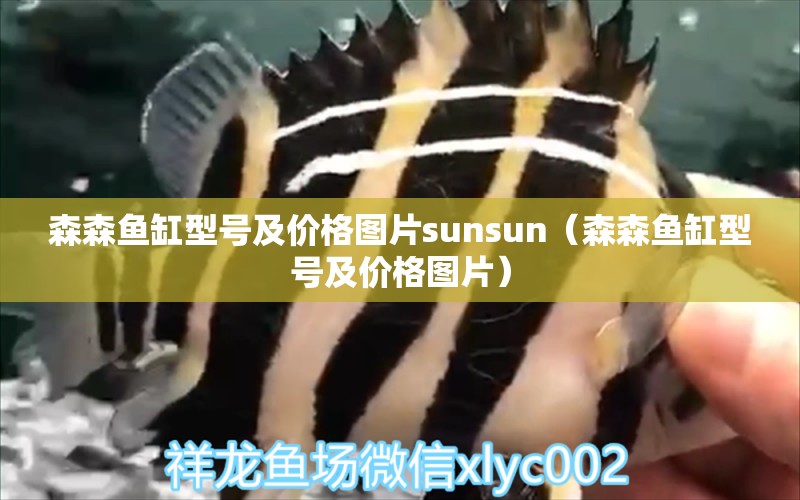 森森魚缸型號及價格圖片sunsun（森森魚缸型號及價格圖片） 祥龍魚場