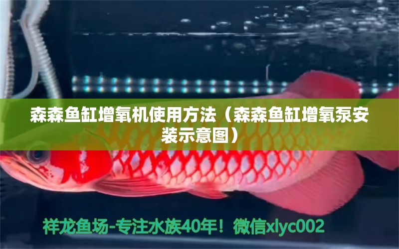 森森魚缸增氧機使用方法（森森魚缸增氧泵安裝示意圖）