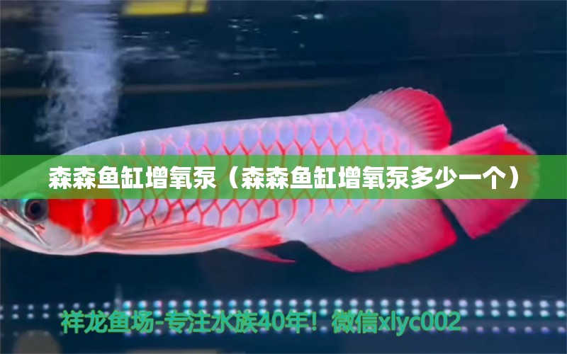 森森魚(yú)缸增氧泵（森森魚(yú)缸增氧泵多少一個(gè)）