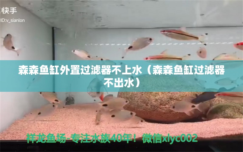 森森魚缸外置過(guò)濾器不上水（森森魚缸過(guò)濾器不出水）