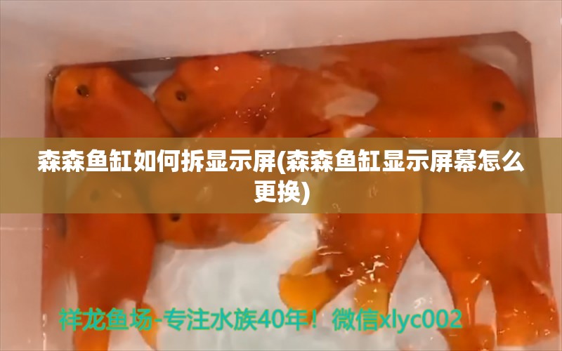 森森魚(yú)缸如何拆顯示屏(森森魚(yú)缸顯示屏幕怎么更換)