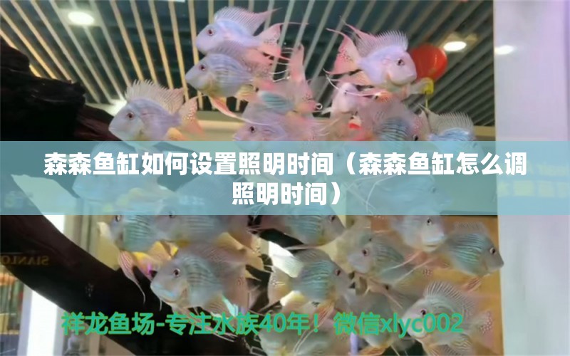 森森魚缸如何設(shè)置照明時間（森森魚缸怎么調(diào)照明時間） 祥龍水族醫(yī)院