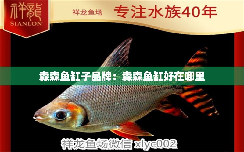 森森魚缸子品牌：森森魚缸好在哪里