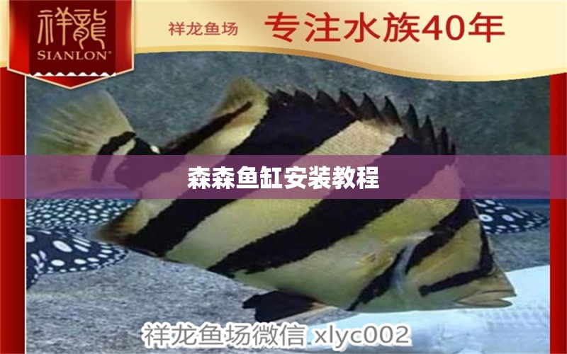 森森魚(yú)缸安裝教程