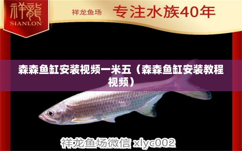 森森魚缸安裝視頻一米五（森森魚缸安裝教程視頻）