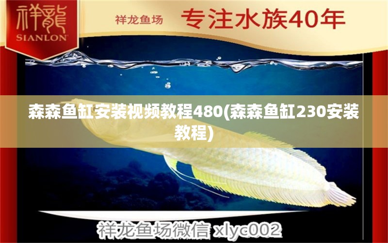 森森魚缸安裝視頻教程480(森森魚缸230安裝教程) 殺菌消毒設(shè)備