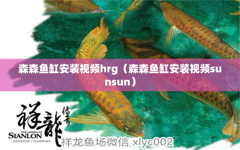 森森魚(yú)缸安裝視頻hrg（森森魚(yú)缸安裝視頻sunsun） 廣州龍魚(yú)批發(fā)市場(chǎng)