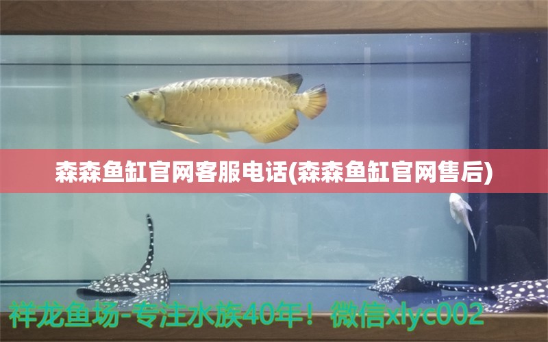 森森魚缸官網客服電話(森森魚缸官網售后) 圣菲埃及魚