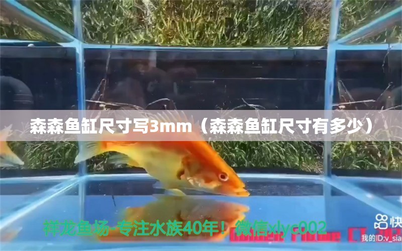 森森魚(yú)缸尺寸寫(xiě)3mm（森森魚(yú)缸尺寸有多少） 廣州觀賞魚(yú)批發(fā)市場(chǎng)