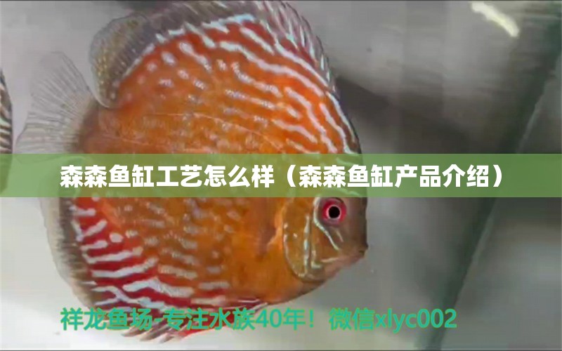 森森魚缸工藝怎么樣（森森魚缸產(chǎn)品介紹）