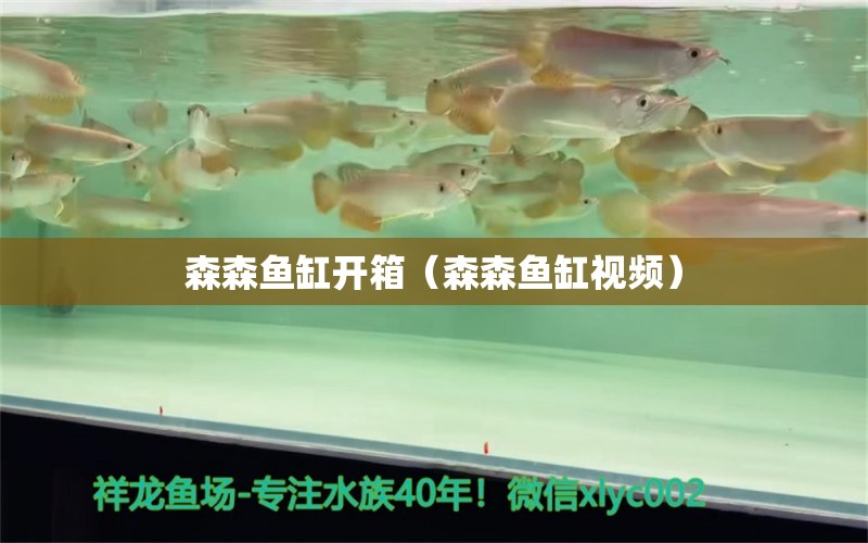 森森魚缸開箱（森森魚缸視頻） 森森魚缸