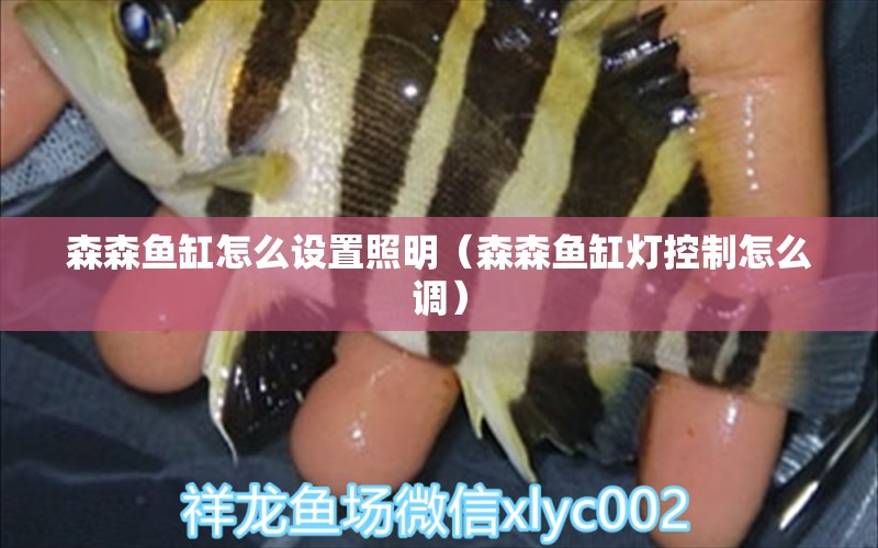 森森魚缸怎么設(shè)置照明（森森魚缸燈控制怎么調(diào)）