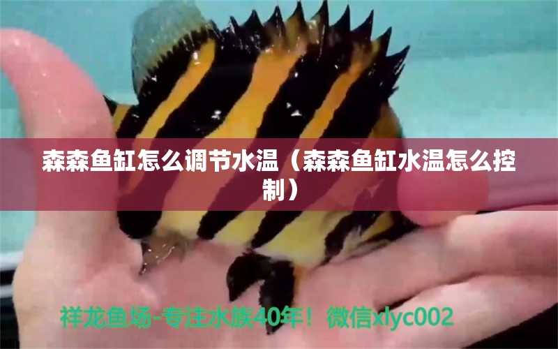 森森魚缸怎么調(diào)節(jié)水溫（森森魚缸水溫怎么控制） 廣州龍魚批發(fā)市場