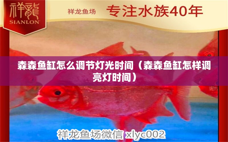 森森魚(yú)缸怎么調(diào)節(jié)燈光時(shí)間（森森魚(yú)缸怎樣調(diào)亮燈時(shí)間）