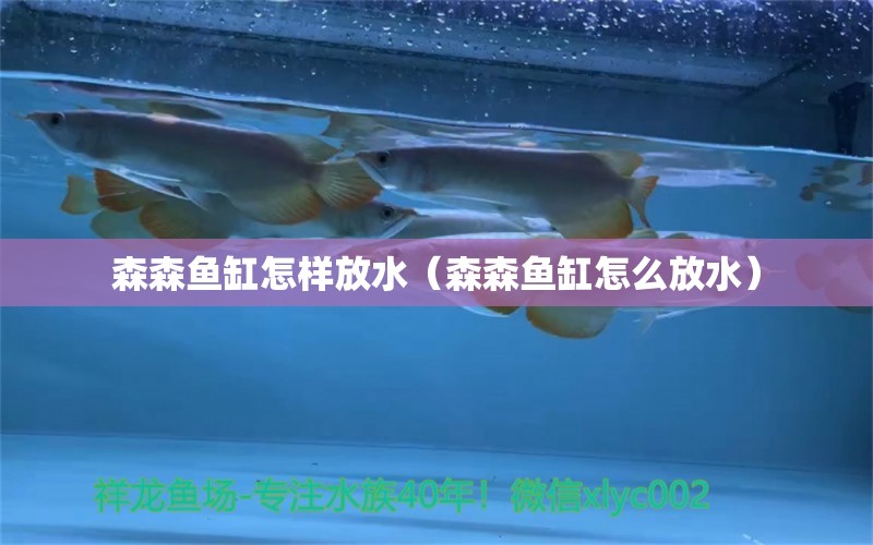 森森魚缸怎樣放水（森森魚缸怎么放水）