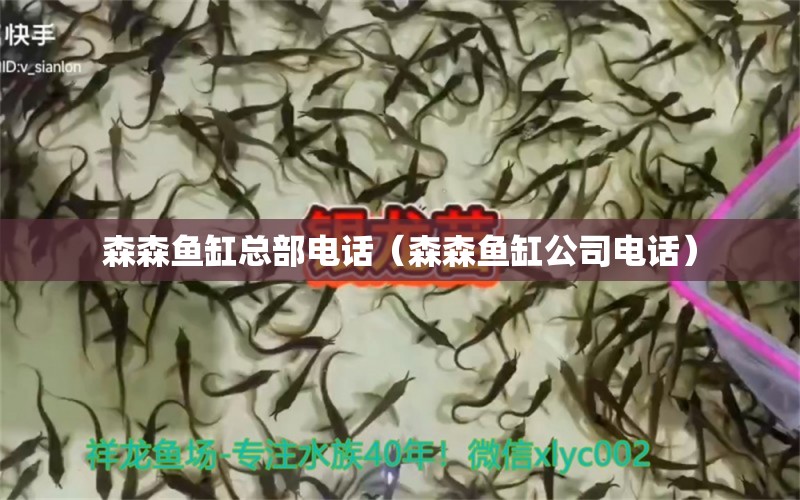 森森魚(yú)缸總部電話(huà)（森森魚(yú)缸公司電話(huà)）