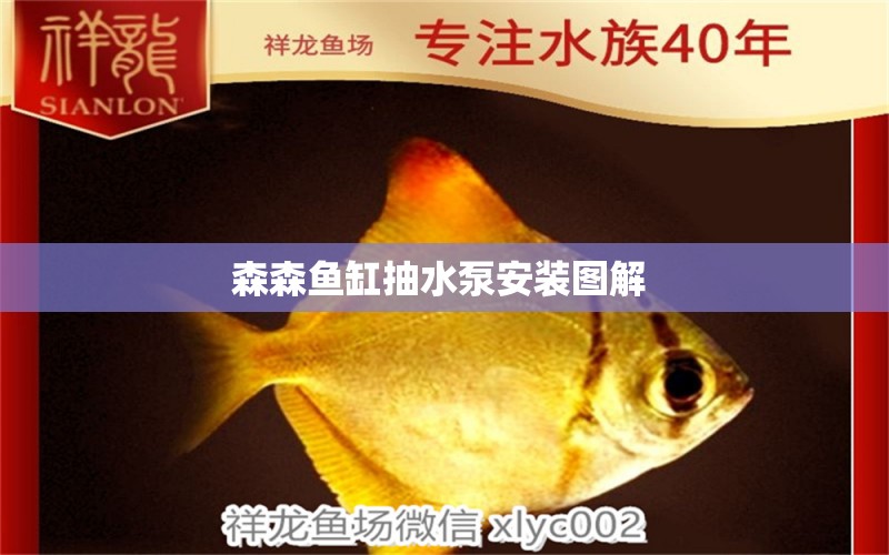 森森魚缸抽水泵安裝圖解  夢幻雷龍魚