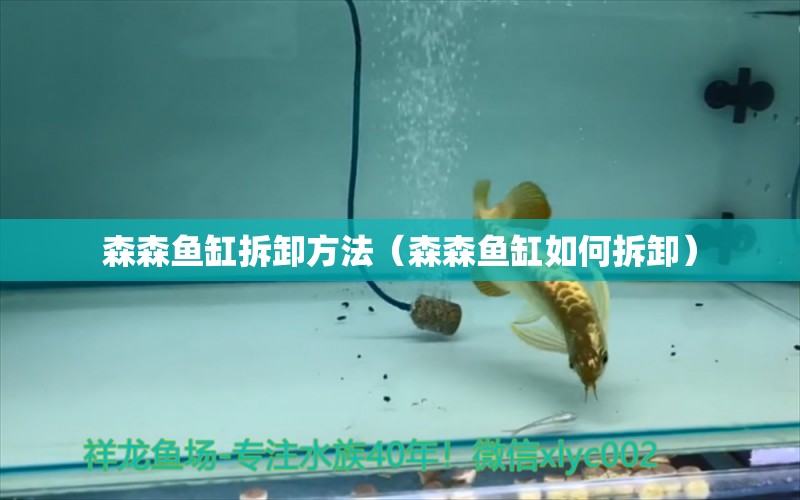 森森魚缸拆卸方法（森森魚缸如何拆卸） 祥龍水族醫(yī)院