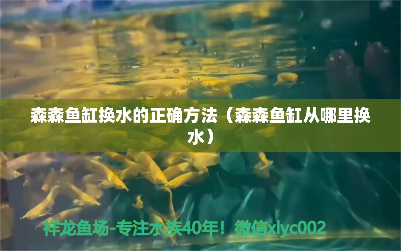 森森魚(yú)缸換水的正確方法（森森魚(yú)缸從哪里換水）