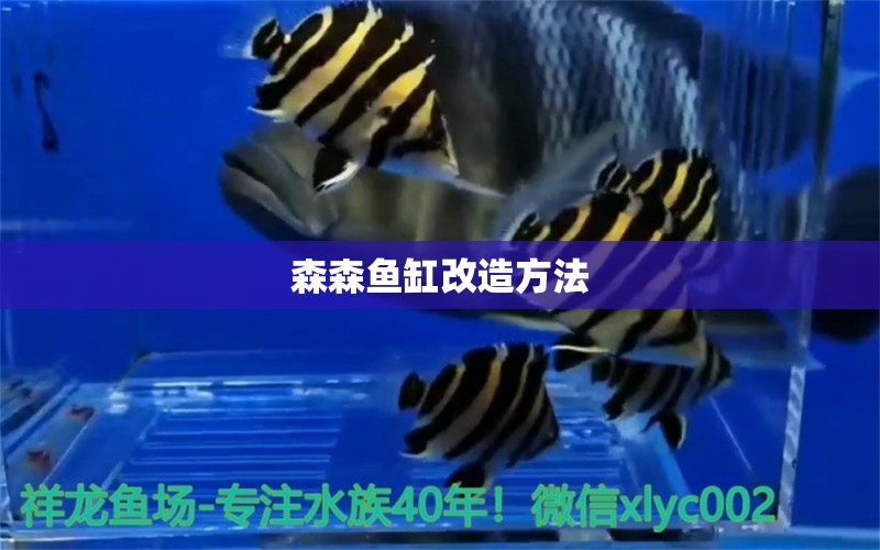 森森魚缸改造方法 養(yǎng)魚知識(shí)