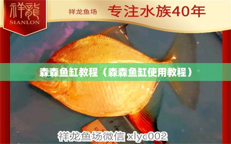 森森魚缸教程（森森魚缸使用教程） 森森魚缸