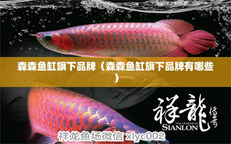 森森魚缸旗下品牌（森森魚缸旗下品牌有哪些）