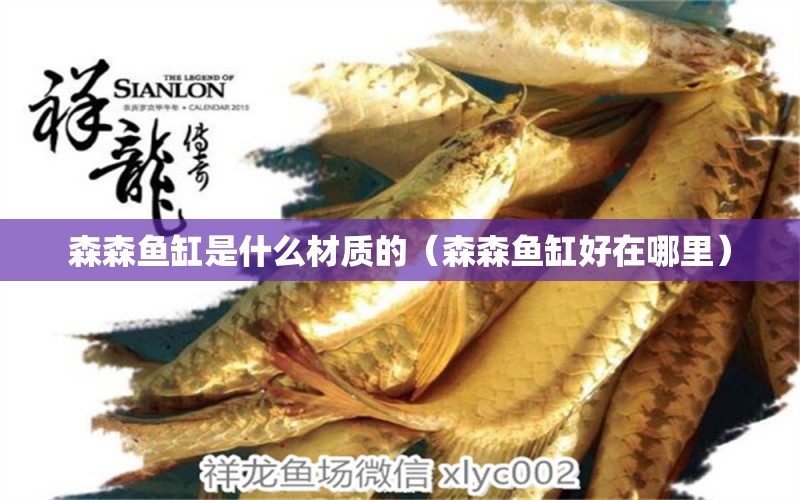 森森魚缸是什么材質(zhì)的（森森魚缸好在哪里） 廣州觀賞魚批發(fā)市場