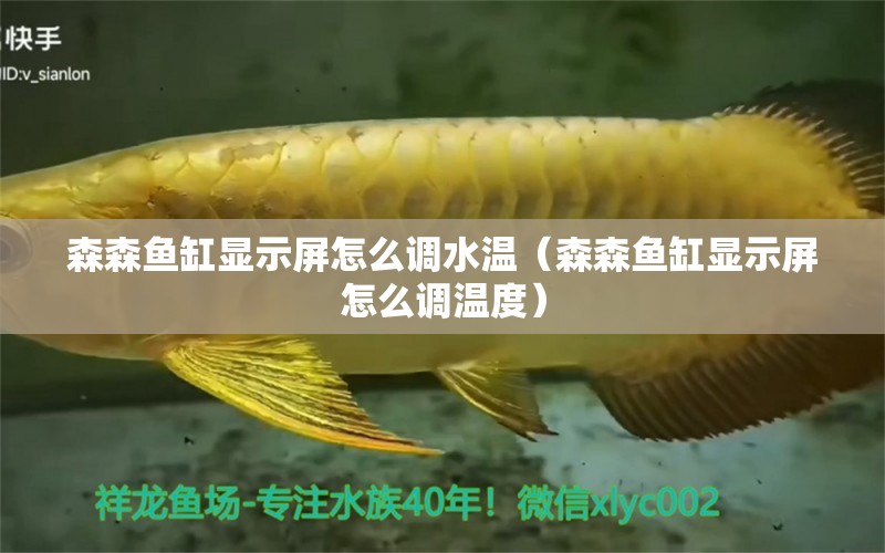 森森魚缸顯示屏怎么調(diào)水溫（森森魚缸顯示屏怎么調(diào)溫度）