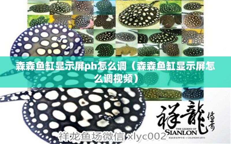 森森魚缸顯示屏ph怎么調(diào)（森森魚缸顯示屏怎么調(diào)視頻） 廣州龍魚批發(fā)市場