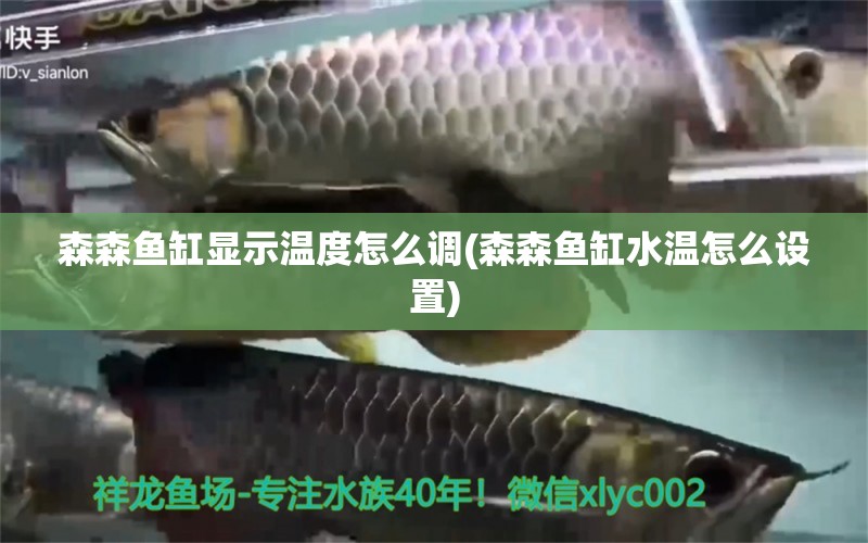 森森魚缸顯示溫度怎么調(diào)(森森魚缸水溫怎么設置) 福魟魟魚