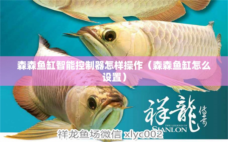 森森魚缸智能控制器怎樣操作（森森魚缸怎么設置） 森森魚缸