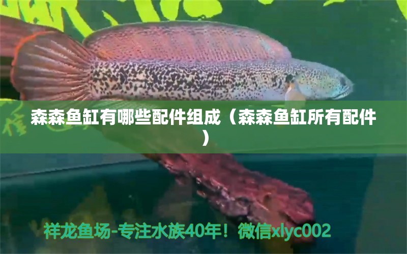 森森魚缸有哪些配件組成（森森魚缸所有配件）