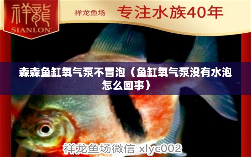 森森魚缸氧氣泵不冒泡（魚缸氧氣泵沒有水泡怎么回事）