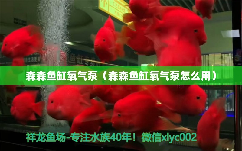 森森魚缸氧氣泵（森森魚缸氧氣泵怎么用）