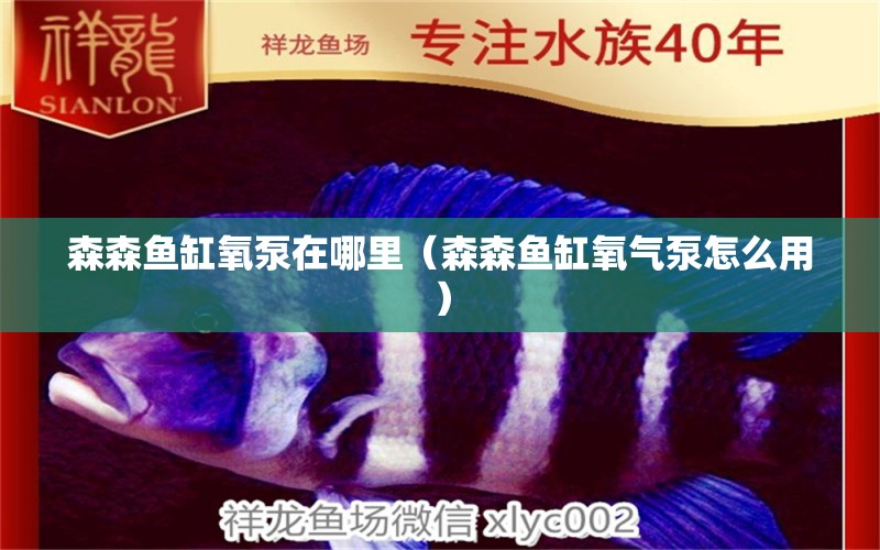 森森魚缸氧泵在哪里（森森魚缸氧氣泵怎么用） 森森魚缸