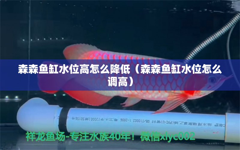 森森魚缸水位高怎么降低（森森魚缸水位怎么調(diào)高）